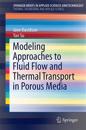 Modeling Approaches to Natural Convection in Porous Media
