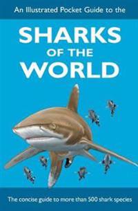 Illustrated Pocket Guide to the Sharks of the World