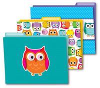 Colorful Owls Folder