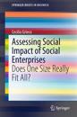 Assessing Social Impact of Social Enterprises