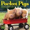 Pocket Pigs