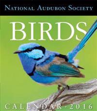 National Audubon Birds 2016 Calendar