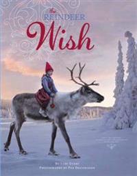 Reindeer Wish