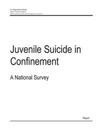 Juvenile Suicide in Confinement: A National Survey