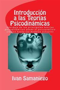 Introduccion a Las Teorias Psicodinamicas: Abordaje de Las Principales Teorias Psicodinamicas Desde El Psicoanalisis Clasico Hasta Los Modelos Actuale