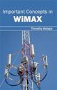 Important Concepts in Wimax