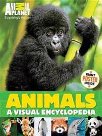 Animal Planet Animals: A Visual Encyclopedia