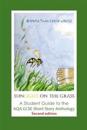 'Sunlight on the Grass': A Student Guide to the AQA GCSE Short Story Anthology: Large Print Edition