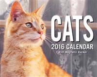 Cats 2016 Mini Day-To-Day Calendar
