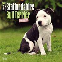 Staffordshire Bull Terrier Puppies 2016 Calendar