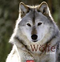 Wölfe 2016 / Wolves 2016 / Loups 2016