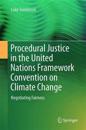 Procedural Justice in the United Nations Framework Convention on Climate Change