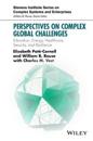 Perspectives on Complex Global Challenges
