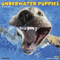 Underwater Puppies Calendar