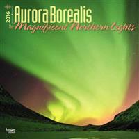 Aurora Borealis: The Magnificent Northern Lights