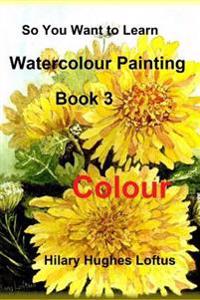 So You Want to Learn Watercolour Painting - Book 3 - Colour: Book 3 - Colour