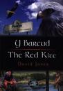Cyfres Cip ar Gymru / Wonder Wales: Barcud, Y / Red Kite, The