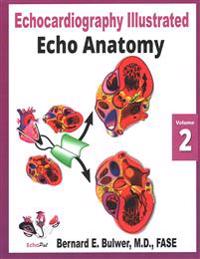 Echo Anatomy