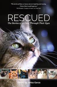 Rescued: The Stories of 12 Cats, Through Their Eyes