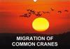 Migration of Common Cranes 2016