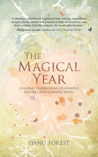 The Magical Year