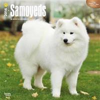 Samoyeds 2016 Calendar