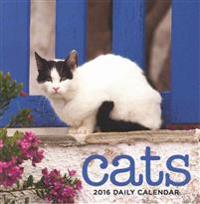 Cats 2016 Daily Calendar