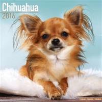 Chihuahua Calendar 2016