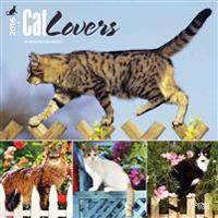 Cat Lovers 2016 Calendar