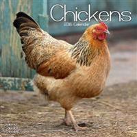 Chickens Calendar 2016
