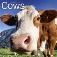 Cows Calendar 2016