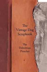 The Vintage Dog Scrapbook - The Doberman Pinscher