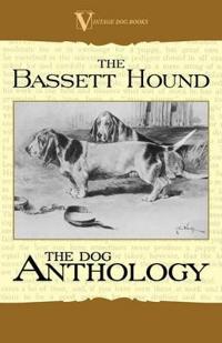 The Basset Hound - a Dog Anthology