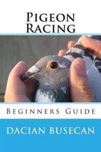 Pigeon Racing: Beginners Guide