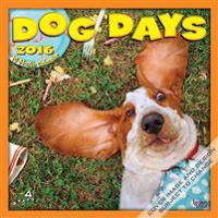 Dog Days 2016 Calendar