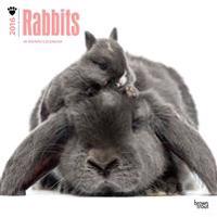 Rabbits 2016 - Kaninchen - 18-Monatskalender