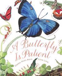 A Butterfly Is Patient