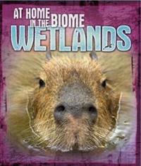 At Home in the Biome: Wetlands