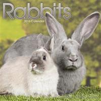 Rabbits Calendar 2016