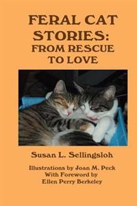 Feral Cat Stories: From Rescue to Love