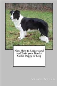 New How to Understand and Train Your Border Collie Puppy or Dog