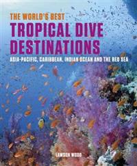 The World's Best Tropical Dive Destinations