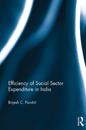 Efficiency of Social Sector Expenditure in India