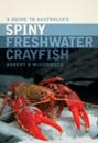 Guide to Australia's Spiny Freshwater Crayfish