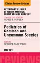 Pediatrics of Common and Uncommon Species, An Issue of Veterinary Clinics: Exotic Animal Practice