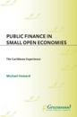 Public Finance in Small Open Economies