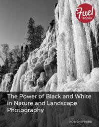 Power of Black and White in Nature and Landscape Photography