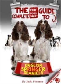Complete Guide to English Springer Spaniel