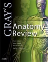 Gray's Anatomy Review