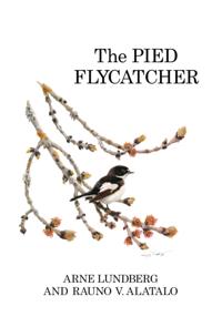 Pied Flycatcher